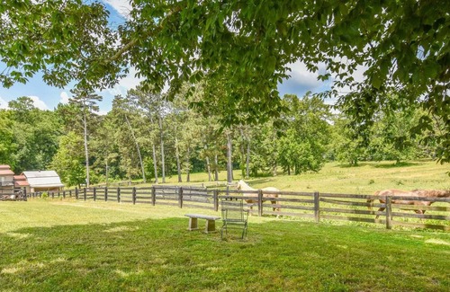 Gainesville Apartment | Dream Vacation Resort