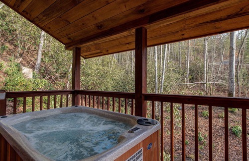 Pittman Center House | Dreams & Streams