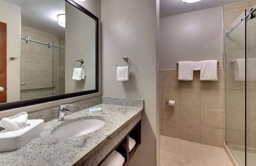 Pooler Hotel | Drury Plaza Hotel Savannah Pooler