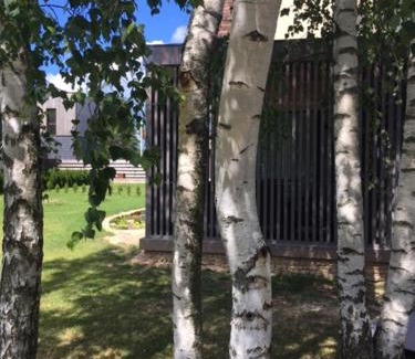 Druskininkai Apartment | Druskininkų Šlaitas