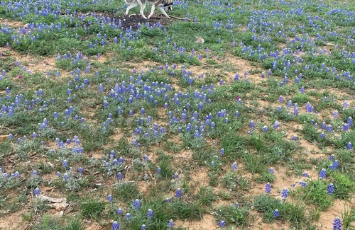 Llano RV Rental | Dry Camping! Solar Eclipse Totality!