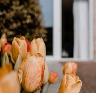 Zoutelande Bed & Breakfast | Duinvilla Aan de Zee B&B