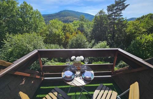 Klingenthal Apartment | Duplex T2 terrasse piscine chauffée