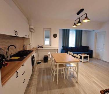 Otopeni Apartment | Dusan Residence Otopeni 7