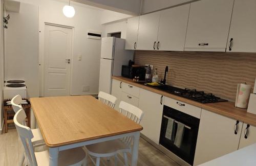 Otopeni Apartment | Dusan Residence Otopeni 7
