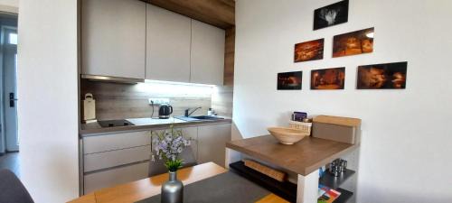 Frymburk Apartment | Dvě Zátoky Kovářov Studio