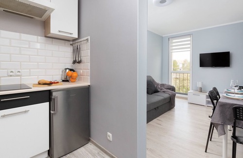 Brzezno Apartment | Dworska Apartment by Renters