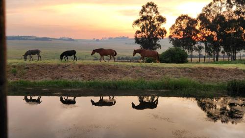 Msukaligwa Apartment | Echo Valley Guest Farm
