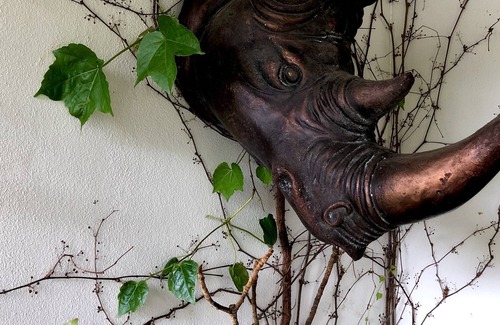 Wollongong CBD House | Eclectic inner city hideaway