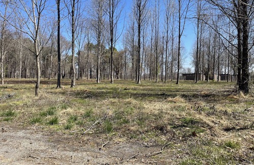 Carbondale RV Rental | Eclipse Campsites Available. Waterfront views