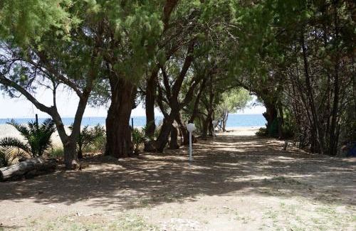 Gennadi Hotel | Eco Beach And Magic Garden Hotel