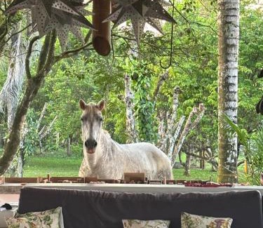 Puerto Jimenez House | Eco Lodge near Corcovado, 400m to Beach on a Peaceful Private Reserve