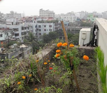 Dhaka Apartment | Econ Stay in New Apartment, Jigatola, Dhanmondi, Dhaka, Bangladesh