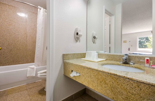 North Camellia Acres Hotel | Econo Lodge Little Creek