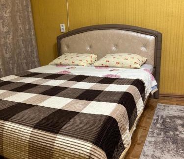 Pavlodar Apartment | Economy - class apartment