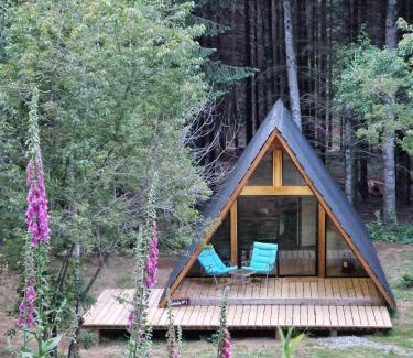 Villarrica Ski Chalet | Ecos del Manantial