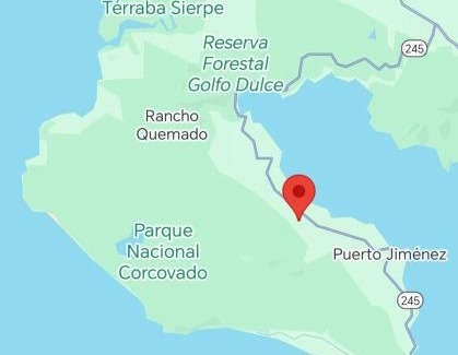 Puerto Jimenez Apartment | EcOsaLodge