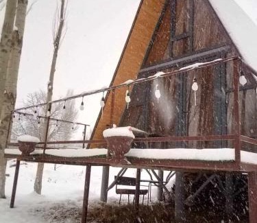 Aghavnadzor House | Edem A Frame Zovaber