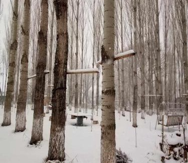 Aghavnadzor House | Edem A Frame Zovaber