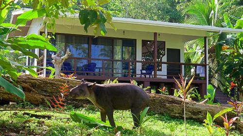 Drake Bay House | Eden Corcovado