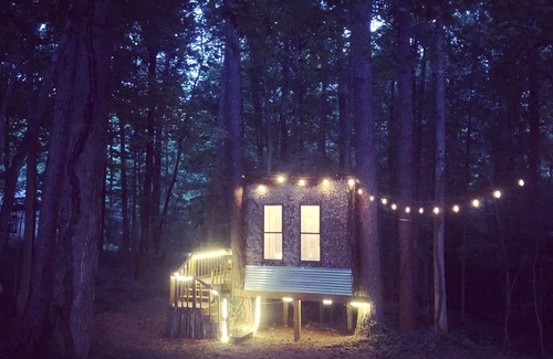 Canton Apartment | Eden Treehouse at New Tiny-Living Eco-Farm