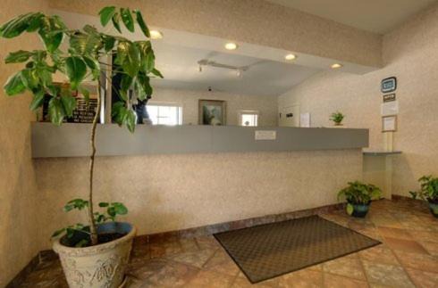 Edinburg Hotel | Edinburg Executive Inn