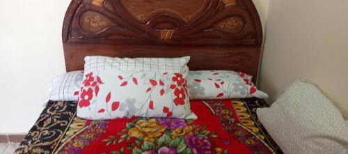 Abu Hammad House | Egyptian country house