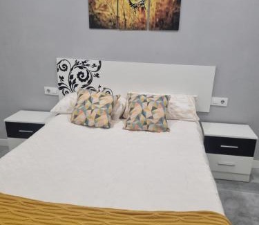 Santo Domingo de la Calzada Apartment | El ático de Carolina