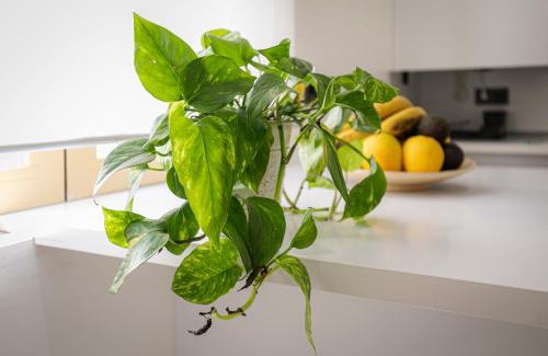 Genil Apartment | El Rincón de Granata