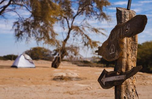 Nazca Other | El tambo