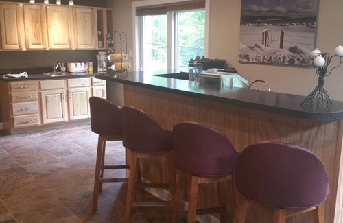 Traverse City Apartment | Elegant 2 King Bedroom Apt - 2 night minimum - 4 adults