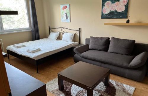Dubravka Apartment | Elegant Escape apartment - free parking, easy access to City Centre