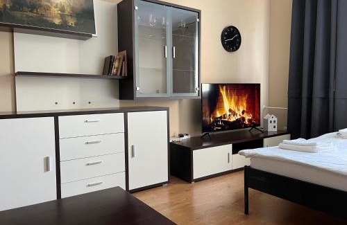 Dubravka Apartment | Elegant Escape apartment - free parking, easy access to City Centre