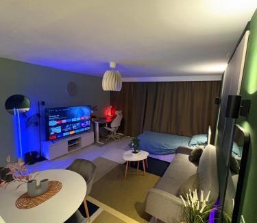 Sint-Stevens-Woluwe Apartment | Elegant house