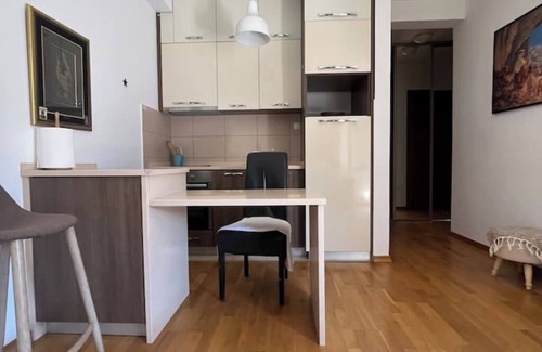 Dubovica Apartment | Elegant Mega Apartment in the Heart of the City