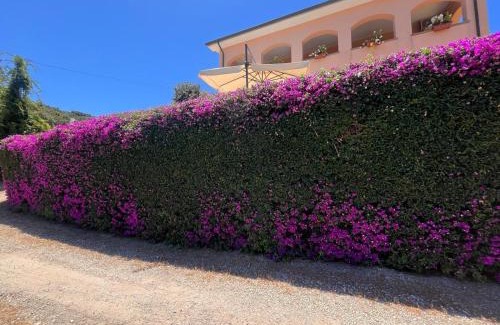 Rio Villa | Elegante Villa Perelle - Goelba