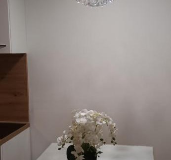 Imotski Apartment | Elena