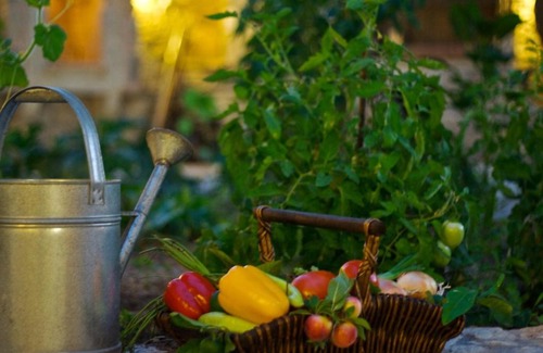 Mylopotamos Villa | Eleni's Stately Home, picturesque location, By ThinkVilla