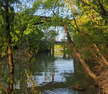 Lookout Valley Neighborhood Association House | Elise Cabin Forest Retreat 5 Mins To Downtown