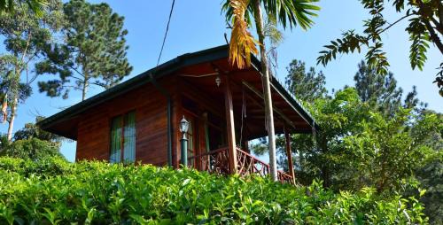 Ambagollapathana House | Ella Mount Relax Cottage