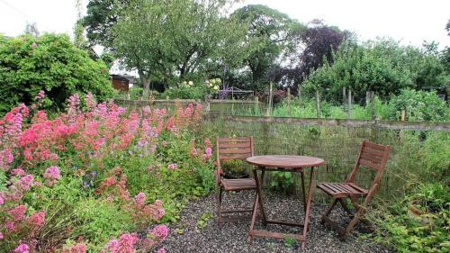 Chesterfield House | Elm Croft