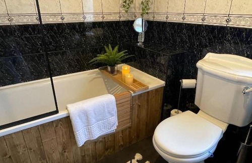Bangor House | Elmwood House