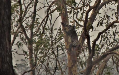 Tabulam Other | Emu Creek Retreat