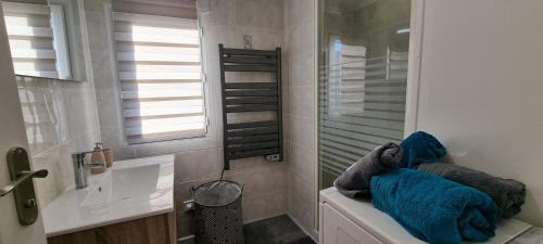 Surgeres Apartment | En hypercentre, appart avec terrasse entièrement rénové - Netflix - Amazon Prime - Le Nature Zen