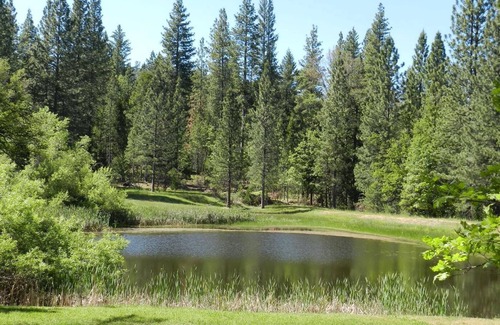 Mariposa House | 'End of the Road Retreat'