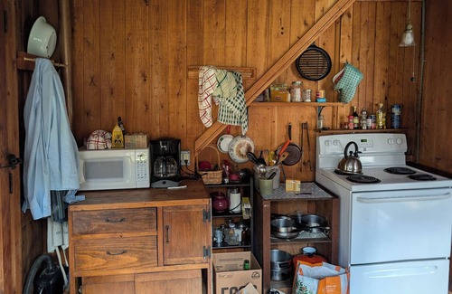 Greensboro Cottage | Enjoy 250' of private waterfront on Caspian Lake in Greensboro, Vermont