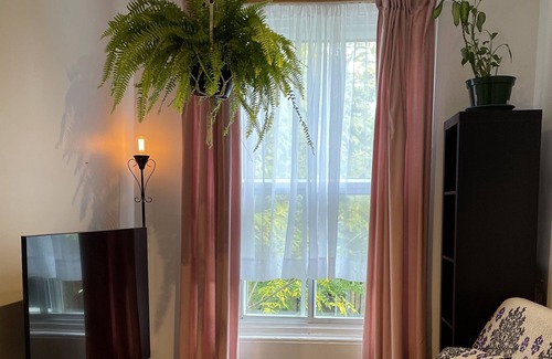De Lorimier Apartment | Entire apartment in the heart of the plateau