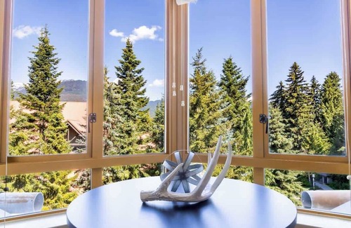 Village North Apartment | Entire Studio in Whistler Village Resort - Unit 437