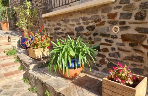 Banyuls-sur-Mer Apartment | Entre Mer & Terre