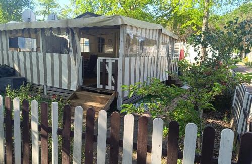 La Tremblade Other | Escapade ensoleillée